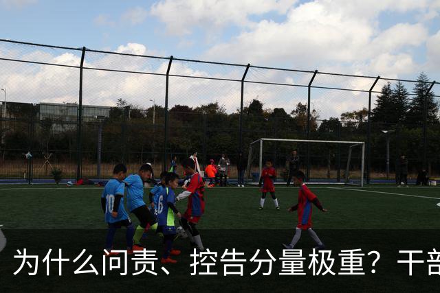 为什么问责、控告分量极重？干部必须守住的红线
