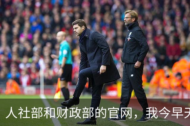 人社部和财政部的官网，我今早天不亮又点进去刷了五六遍