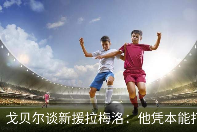 戈贝尔谈新援拉梅洛：他凭本能打球，能适应任何局势